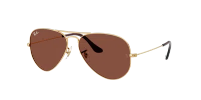 Ray Ban Ray In Brown