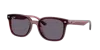 Ray Ban Ray In Violet