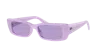 Ray Ban Ray In Violet