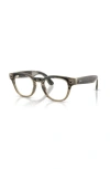 Ray Ban Ray-ban 49mm Phantos Optical Glasses In Brown