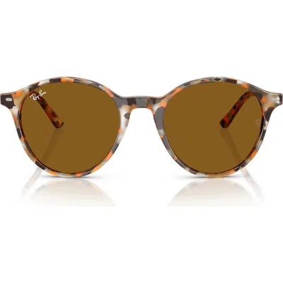 Ray Ban Ray-ban 51mm Bernard Phantos Round Sunglases In Brown