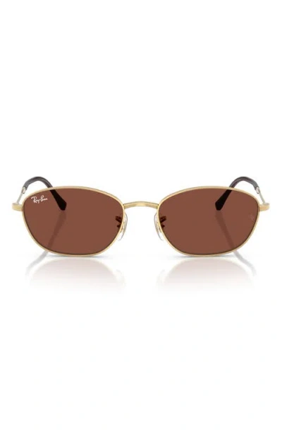 Ray Ban Ray-ban 55mm Irregular Oval Sunglasses In Brown