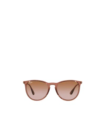 Ray Ban Ray-ban Erika Classic Sunglasses In Brown