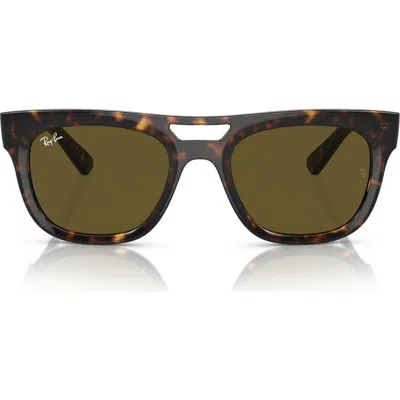 Ray Ban Ray-ban Phil 54mm Square Sunglasses In Brown