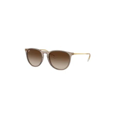 Ray Ban Unisex Erika Sunglasses In Transparent Light Brown