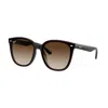 Ray Ban Ray In Black