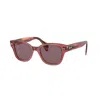 Ray Ban Ray In Pink
