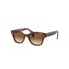 Ray Ban Rb0880s Sonnenbrillen Havana Gestreift Fassung Braun Glas 49-19 In Striped Havana