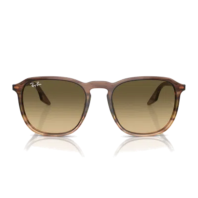 Ray Ban Rb2203 Sunglasses In Brown