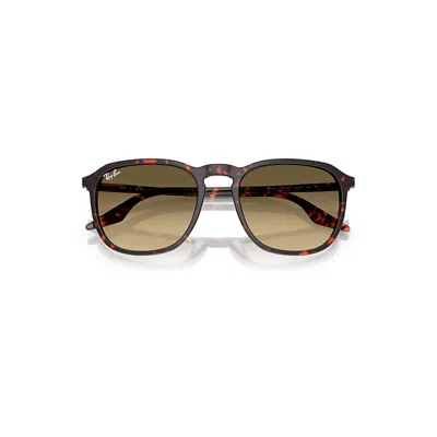 Ray Ban Rb2203 Sunglasses Havana Red Turtle Frame Brown Lenses 55-20