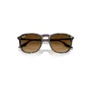 Ray Ban Rb2203 Sunglasses Havana Yellow Turtle Frame Brown Lenses 55-20 In Havana Yellow Turtle