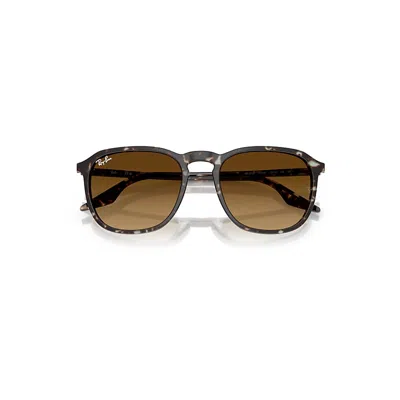 Ray Ban Rb2203 Sunglasses Havana Yellow Turtle Frame Brown Lenses 55-20
