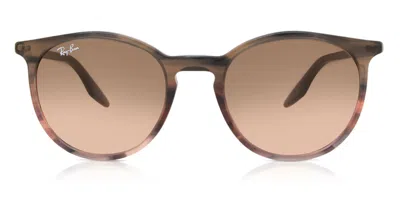 Ray Ban Rb2204 13953b Men's Sunglasses Brown Size 51