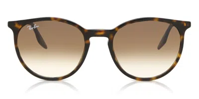 Ray Ban Rb2204 902/51 Men's Sunglasses Tortoiseshell Size 51 In Brown