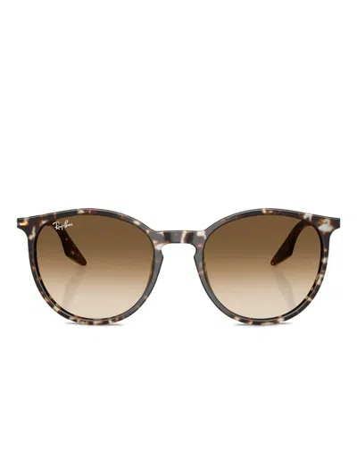 Ray Ban Rb2204 Sunglasses In Brown