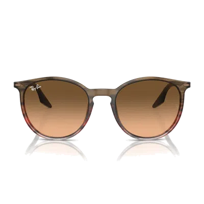 Ray Ban Rb2204 Sunglasses In Brown
