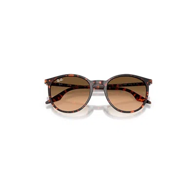 Ray Ban Rb2204 Sunglasses Havana Red Turtle Frame Pink Lenses 54-20