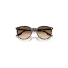 Ray Ban Rb2204 Sunglasses Havana Yellow Turtle Frame Brown Lenses 51-20 In Havana Yellow Turtle