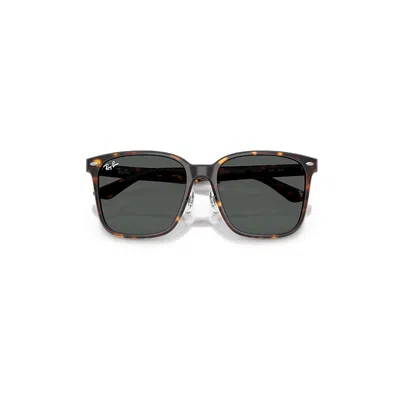 Ray Ban Rb2206d Sunglasses Havana Frame Grey Lenses 57-18