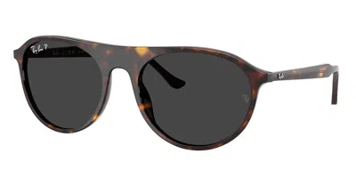Ray Ban Rb2215 Polarized 902/48 Men's Sunglasses Tortoiseshell Size 56 In Brown