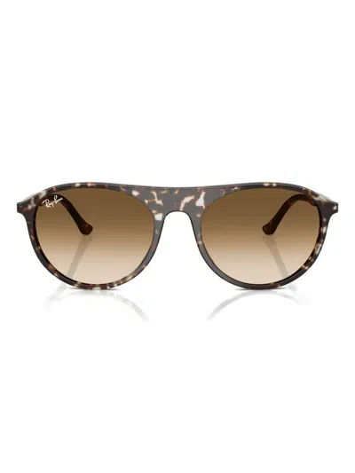 Ray Ban Rb2215 Sunglasses In Brown