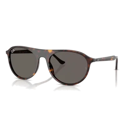 Ray Ban Rb2215 Sunglasses In Brown