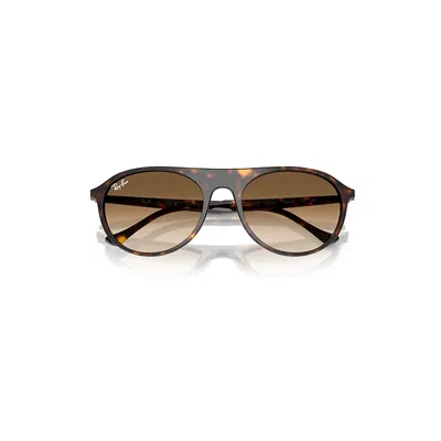 Ray Ban Rb2215 Sunglasses Havana Frame Brown Lenses 59-20