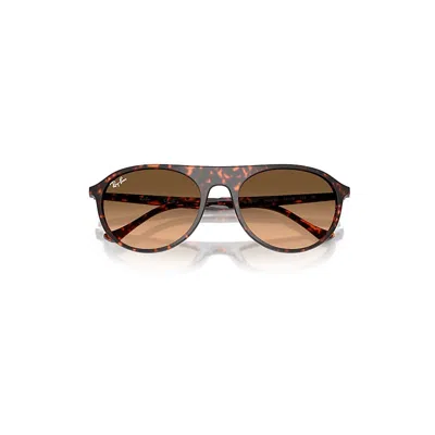 Ray Ban Rb2215 Sunglasses Havana Red Turtle Frame Pink Lenses 56-19 In Brown