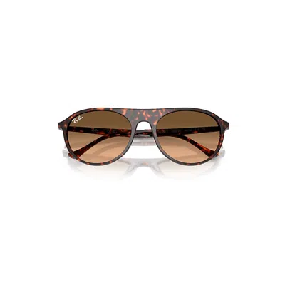 Ray Ban Rb2215 Sunglasses Havana Red Turtle Frame Pink Lenses 59-20