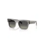 Ray Ban Rb2217m Scuderia Ferrari Collection Sonnenbrillen Grau Transparent Fassung Grau Glas 53-21 In Grau Transparent