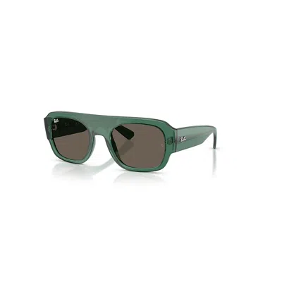 Ray Ban Rb2218 Sonnenbrillen Transparent Grün Fassung Braun Glas 55-22