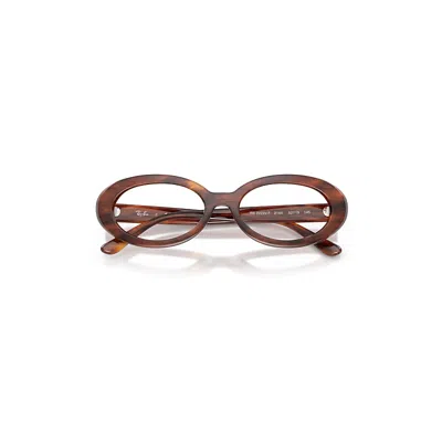 Ray Ban Rb2223v Optics Eyeglasses Striped Havana Frame Clear Lenses Polarized 52-19 In Brown