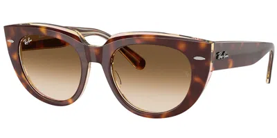 Ray Ban Rb2286 Doreen 141451 Women's Sunglasses Tortoiseshell Size 49 In Brown