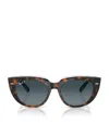 Ray Ban Doreen Sunglasses Dark Havana On Transparent Multicolor Frame Blue Lenses Polarized 52-20 In Brown