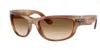 Ray Ban Ray In Brown