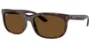 Ray Ban Sunglasses In Brown