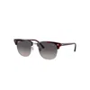 Ray Ban Ray In Red Striped Havana