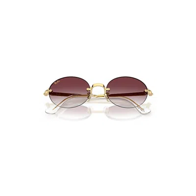 Ray Ban Rb3929 By A$ap Rocky Sunglasses Arista Gold Frame Violet Lenses 54-20