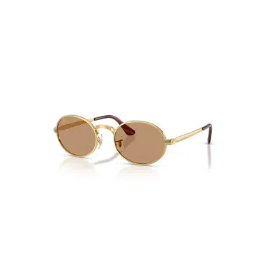 Ray Ban Rb3931 Sonnenbrillen Arista Gold Fassung Braun Glas 54-21