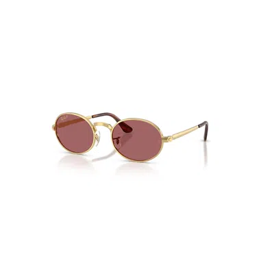 Ray Ban Rb3931 Sonnenbrillen Arista Gold Fassung Violett Glas Polarisiert 54-21