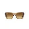 Ray Ban Rb4194 Sunglasses Brown Demi Gloss Frame Brown Lenses 53-17 In Brown Demi Gloss
