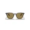 RAY BAN RB4258 SUNGLASSES TORTOISE FRAME BROWN LENSES 52-20