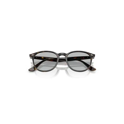 Ray Ban Rb4259 Sunglasses Light Havana Frame Grey Lenses 53-20