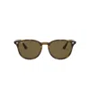 Ray Ban Rb4259 Sunglasses Tortoise Frame Brown Lenses 53-20 In Tortoise