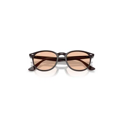 Ray Ban Rb4259 Sunglasses Transparent Brown Frame Brown Lenses 53-20 In Black