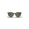 RAY BAN RB4305 SUNGLASSES BLACK FRAME GREEN LENSES POLARIZED 53-19