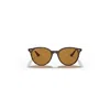 Ray Ban Rb4305 Sunglasses Tortoise Frame Brown Lenses Polarized 53-19 In Tortoise