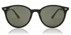Ray Ban Ray In Gray