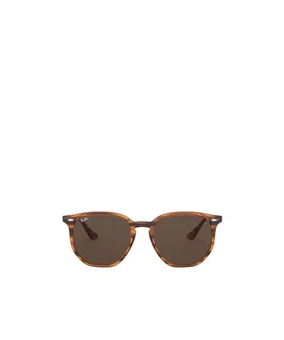 Ray Ban Ray-ban Rb4306 Sunglasses In Brown