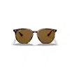 RAY BAN RB4306 SUNGLASSES TORTOISE FRAME BROWN LENSES POLARIZED 54-19